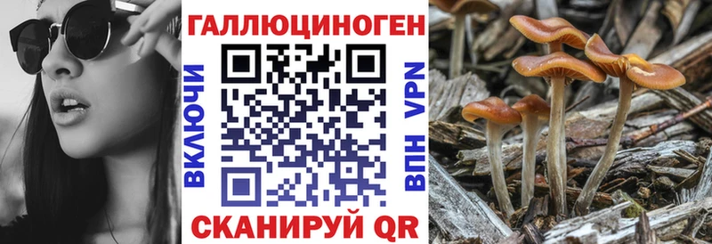 МЕГА рабочий сайт  Саров  Псилоцибиновые грибы мицелий 